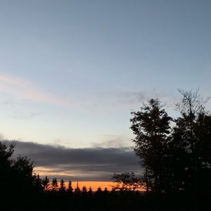 Meet your Posher, Shirley